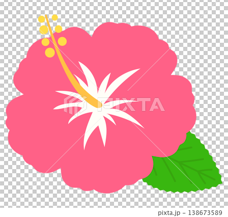 可愛的芙蓉 138673589