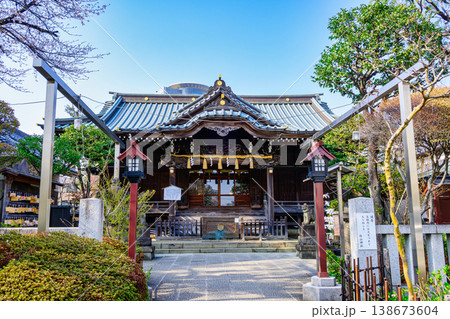 東京都　文京区　白山神社（はくさんじんじゃ）　本殿 138673604