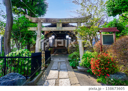 東京都　文京区　白山神社（はくさんじんじゃ）　境内の八幡神社 138673605