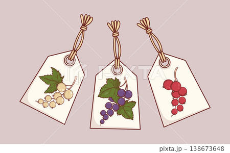 Handmade Paper Gift Tags Set with Red Black and White Currant Berries. Isolated Vector Illustration Handmade Paper Gift Tags Set with Red Black and White Currant Berries. Isolated Vector Illustration 138673648