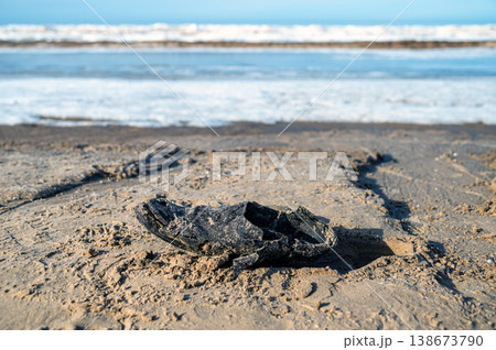 An old shoe rests on the sand next to the water as waves crash nearby in daylight. An old shoe rests on the sand next to the water as waves crash nearby in daylight. 138673790