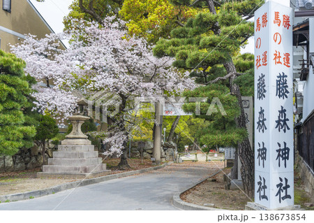 京都 藤森神社 満開の桜と南門 京都 藤森神社 満開の桜と南門 138673854