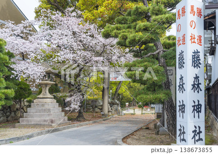 京都 藤森神社 満開の桜と南門 京都 藤森神社 満開の桜と南門 138673855
