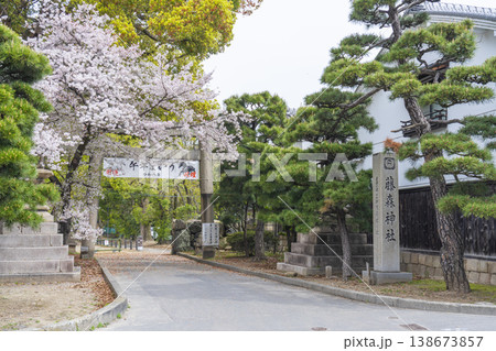 京都　藤森神社　満開の桜と南門 138673857