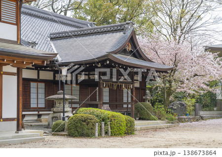 春の京都　藤森神社　斎館 138673864