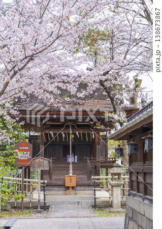 藤森神社　満開の桜と大将軍社社殿　 138673867