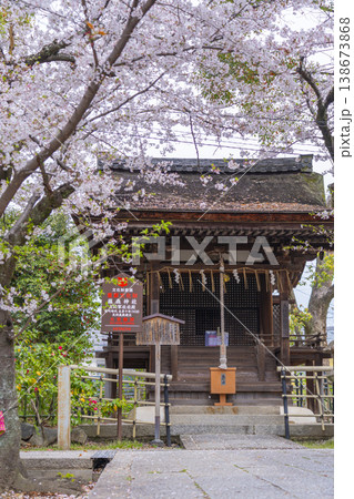 藤森神社　満開の桜と大将軍社社殿 138673868