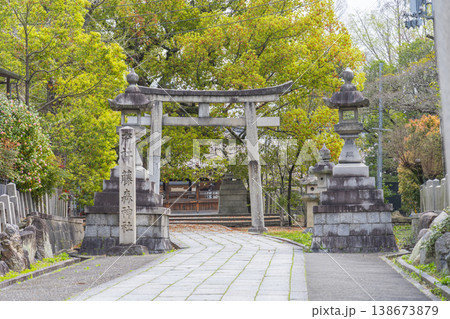 京都　藤森神社　満開の桜と石鳥居 138673879