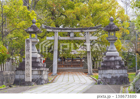 京都　藤森神社　満開の桜と石鳥居 138673880