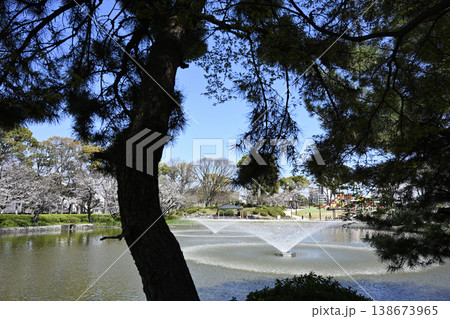 名古屋市・名城公園（北園）のおふけ池 138673965