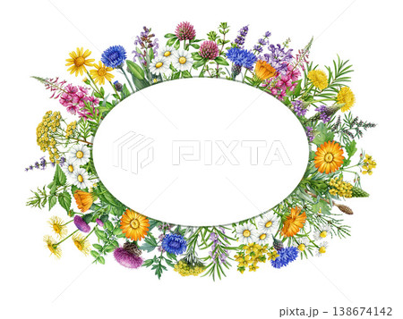 Oval floral frame from apothecary herbs, watercolor illustration isolated. Hand-painted botanical herbal frame decor, apothecary plants perfect for wellness, packaging, invitations and natural design 138674142