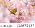 サクジロー 138675187