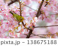 サクジロー 138675188