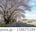 桜 138675189
