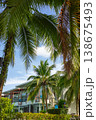 Palm Fronds in Foreground and Modern Resort Building Against Blue Sky 138675493