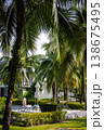 Woman Relaxing on Lounge Chair Under Palms by Pool - Tropical Resort Scene 138675495