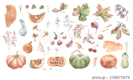 Watercolor collection of pumpkins, autumn leaves, apples, mushroom and acorn isolated. Seasonal botanical set hand drawn for fall holiday greeting card design, decorative invitation and harvest theme. Watercolor collection of pumpkins, autumn leaves, apples, mushroom and acorn isolated. Seasonal botanical set hand drawn for fall holiday greeting card design, decorative invitation and harvest theme. 138675679