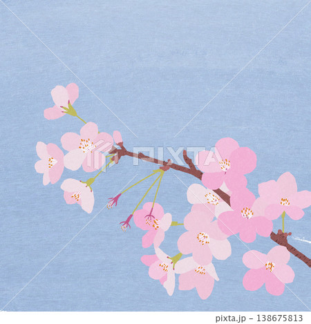 桜 桜 138675813