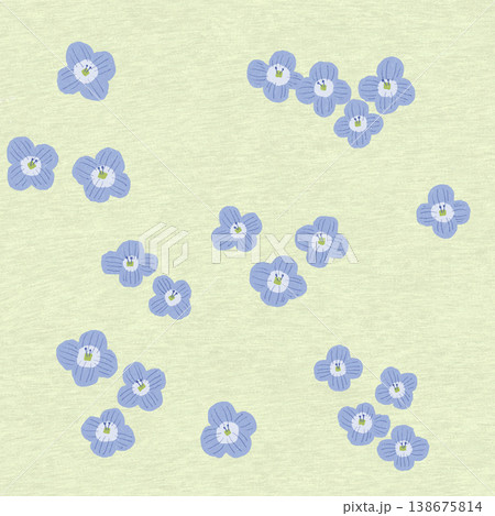 春の花 オオイヌノフグリ 春の花 オオイヌノフグリ 138675814