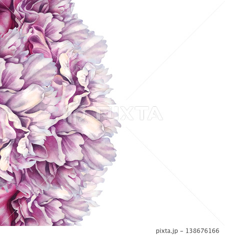 Decorative watercolor peony border with curved convex shapes, featuring layered petals and soft gradients. Hand-painted pink botanical template for elegant layouts, invitations, and decorations 138676166