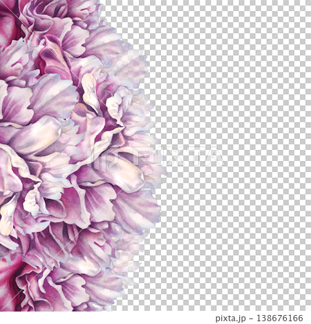 Decorative watercolor peony border with curved convex shapes, featuring layered petals and soft gradients. Hand-painted pink botanical template for elegant layouts, invitations, and decorations 138676166