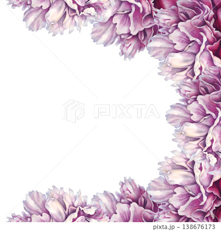 Pink watercolor peony border with curved concave shapes, featuring layered petals and soft gradients. Hand-painted botanical design ideal for elegant layouts, invitations, and decorative compositions 138676173