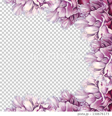 Pink watercolor peony border with curved concave shapes, featuring layered petals and soft gradients. Hand-painted botanical design ideal for elegant layouts, invitations, and decorative compositions 138676173