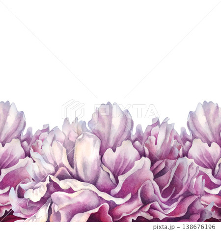 Pink peony horizontal border with layered petals and soft gradients. Watercolor hand drawn floral arrangement ideal for top or bottom decoration in invitations, stationery, packaging, botanical design Pink peony horizontal border with layered petals and soft gradients. Watercolor hand drawn floral arrangement ideal for top or bottom decoration in invitations, stationery, packaging, botanical design 138676196
