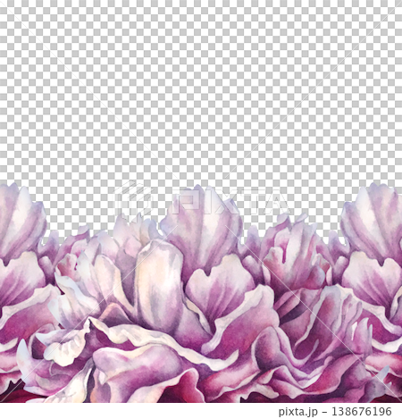 Pink peony horizontal border with layered petals and soft gradients. Watercolor hand drawn floral arrangement ideal for top or bottom decoration in invitations, stationery, packaging, botanical design Pink peony horizontal border with layered petals and soft gradients. Watercolor hand drawn floral arrangement ideal for top or bottom decoration in invitations, stationery, packaging, botanical design 138676196