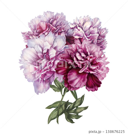 Watercolor peony bouquet with soft pastel and rich pink blooms, arranged in an elegant botanical composition. Hand-painted floral illustration ideal for wedding invitations, branding, packaging, decor 138676225