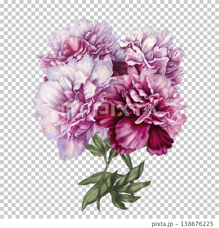 Watercolor peony bouquet with soft pastel and rich pink blooms, arranged in an elegant botanical composition. Hand-painted floral illustration ideal for wedding invitations, branding, packaging, decor 138676225