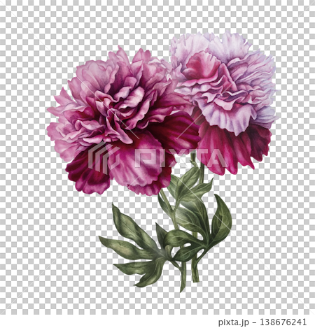 Pink peonies, painted in watercolor, with pastel and rich pink blooms, arranged in an elegant botanical composition. Hand-painted floral illustration for wedding invitation, branding, packaging, decor Pink peonies, painted in watercolor, with pastel and rich pink blooms, arranged in an elegant botanical composition. Hand-painted floral illustration for wedding invitation, branding, packaging, decor 138676241