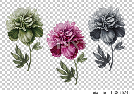 Monochrome watercolor peony illustration with soft tonal gradients and refined botanical detail. Elegant handpainted floral design in a single color palette, perfect for minimalist branding, packaging Monochrome watercolor peony illustration with soft tonal gradients and refined botanical detail. Elegant handpainted floral design in a single color palette, perfect for minimalist branding, packaging 138676242