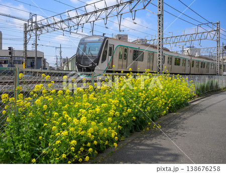 菜の花のある鉄道風景 東急電鉄2020系 菜の花のある鉄道風景 東急電鉄2020系 138676258