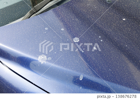 車体に着いた鳥の糞 車体に着いた鳥の糞 138676278
