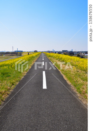 春　江戸川サイクリングロード　三郷市 138676550