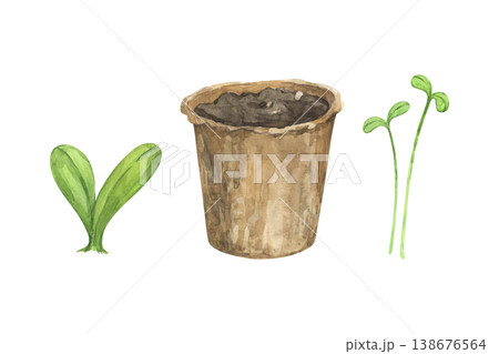 A watercolor painting of a seedling pot and small plant sprouts 138676564