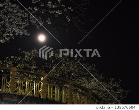 夜桜満開の山崎川からピンクムーンを望む 夜桜満開の山崎川からピンクムーンを望む 138676604