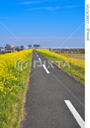 春　江戸川サイクリングロード　三郷市 138676704