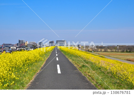 春　江戸川サイクリングロード　三郷市 138676781