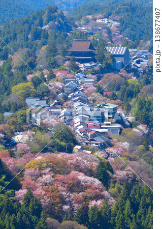 桜景 吉野山 桜景 吉野山 138677407