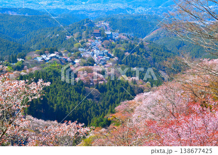 桜景 吉野山 桜景 吉野山 138677425