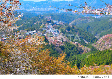 桜景 吉野山 桜景 吉野山 138677461