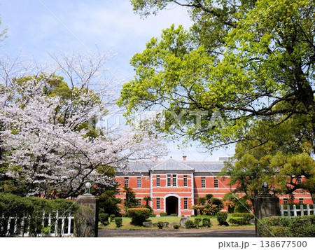 五高記念館と桜（熊本市熊本大学黒髪キャンパス） 138677500