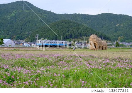 レンゲの花の中に立つわらマンモスと横を走る列車 138677831