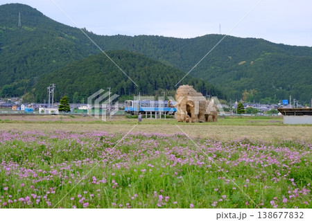 レンゲの花の中に立つわらマンモスと横を走る列車 レンゲの花の中に立つわらマンモスと横を走る列車 138677832