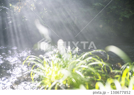 新緑の森の清流に光芒が差し込む風景 大山木谷沢渓流 新緑の森の清流に光芒が差し込む風景 大山木谷沢渓流 138677852