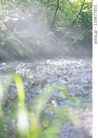 新緑の森の清流に光芒が差し込む風景 大山木谷沢渓流 新緑の森の清流に光芒が差し込む風景 大山木谷沢渓流 138677855