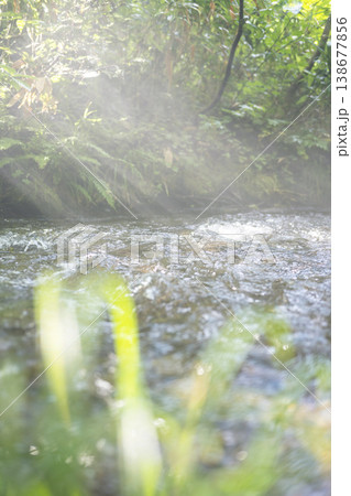 新緑の森の清流に光芒が差し込む風景 大山木谷沢渓流 新緑の森の清流に光芒が差し込む風景 大山木谷沢渓流 138677856