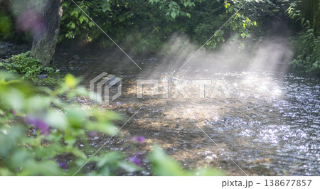 新緑の森の清流に光芒が差し込む風景 大山木谷沢渓流 新緑の森の清流に光芒が差し込む風景 大山木谷沢渓流 138677857